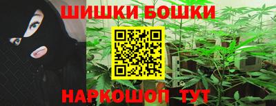 крисы Нальчик