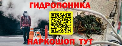 крисы Нальчик
