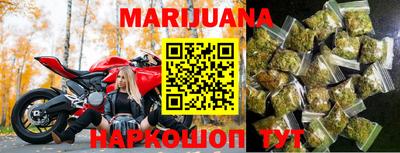крисы Нальчик