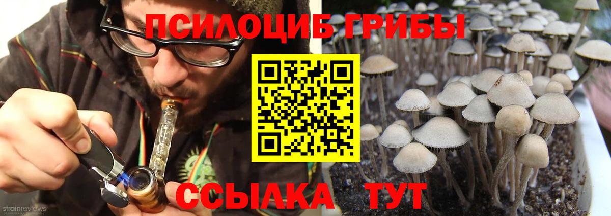 Галлюциногенные грибы MAGIC MUSHROOMS  Вход с VPN  Великий Устюг  даркнет сайт  Псилоцибиновые грибы GOLDEN TEACHER 