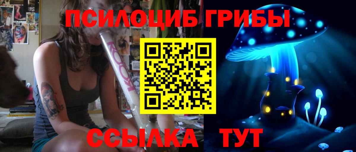 Псилоцибиновые грибы мухоморы Великий Устюг
